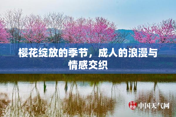 樱花绽放的季节，成人的浪漫与情感交织