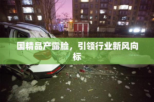 国精品产露脸，引领行业新风向标