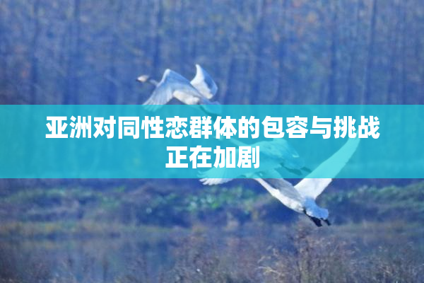 亚洲对同性恋群体的包容与挑战正在加剧