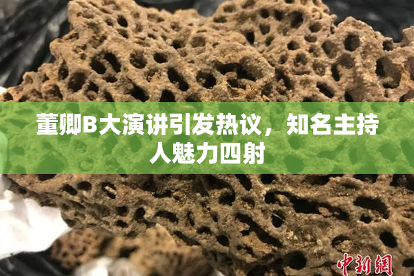 董卿B大演讲引发热议，知名主持人魅力四射