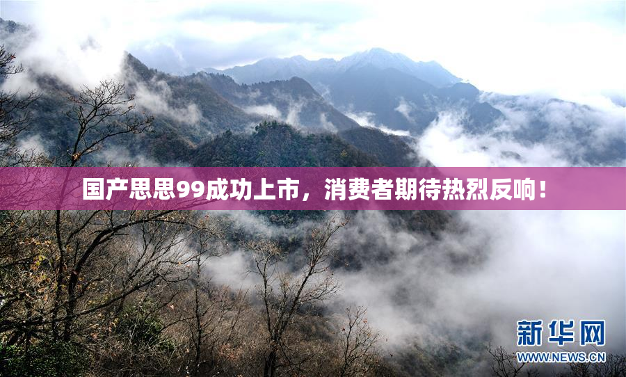 国产思思99成功上市，消费者期待热烈反响！