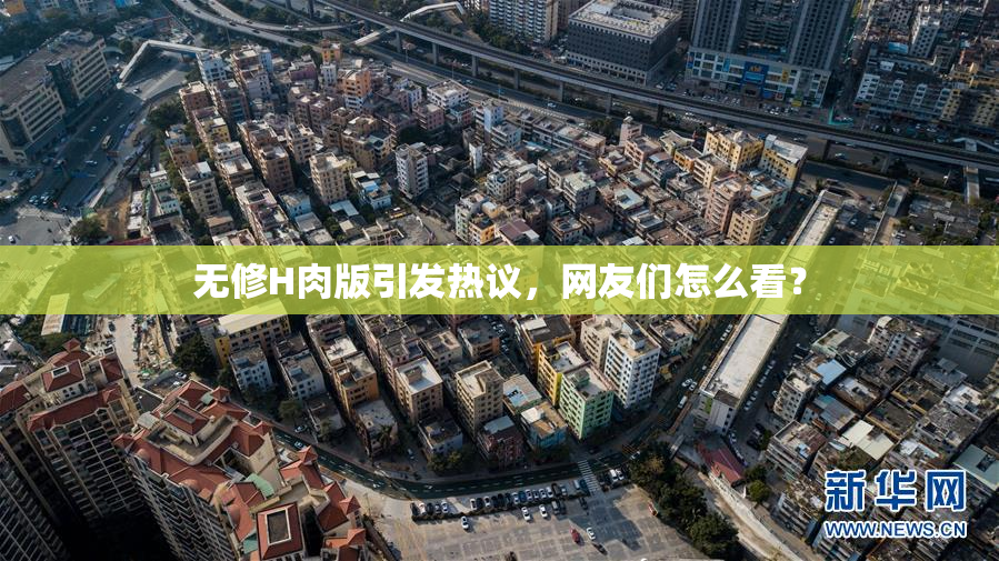 无修H肉版引发热议，网友们怎么看？