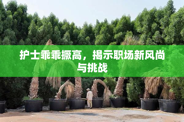 护士乖乖撅高，揭示职场新风尚与挑战