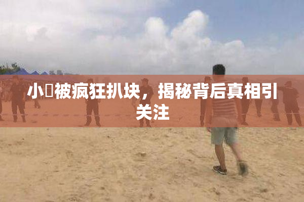 小泬被疯狂扒块，揭秘背后真相引关注