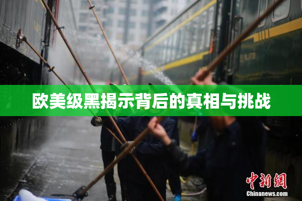 欧美级黑揭示背后的真相与挑战