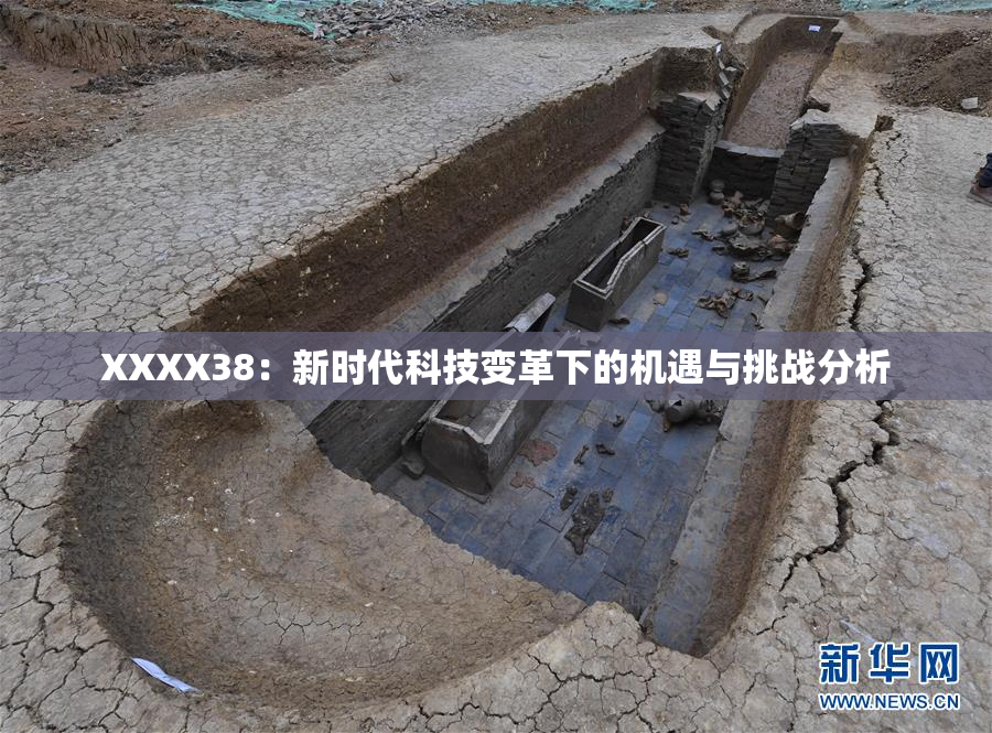 XXXX38：新时代科技变革下的机遇与挑战分析