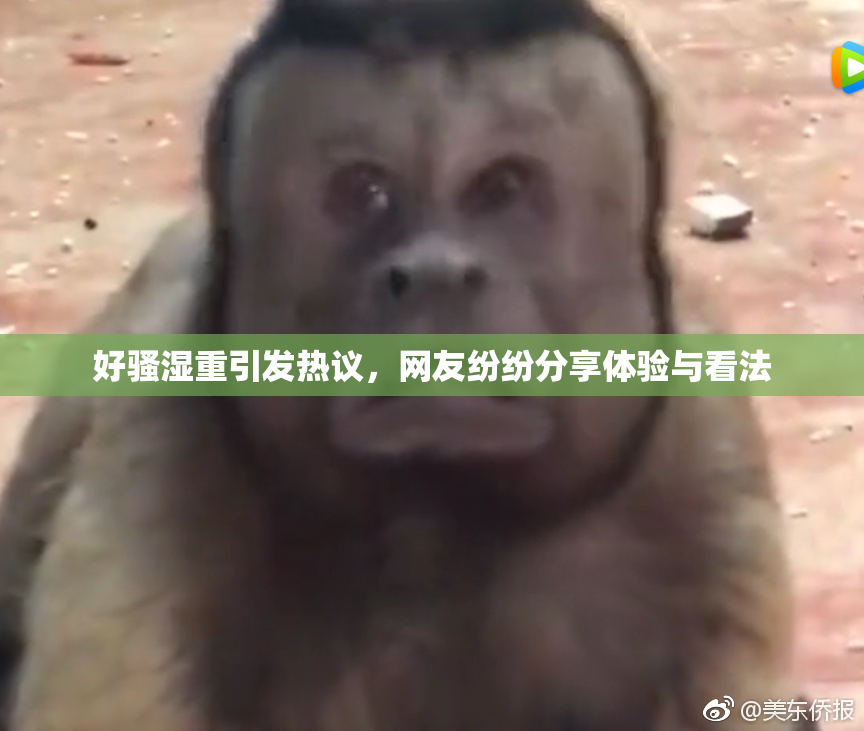 好骚湿重引发热议，网友纷纷分享体验与看法