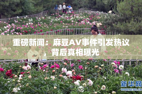 重磅新闻：麻豆AV事件引发热议，背后真相曝光