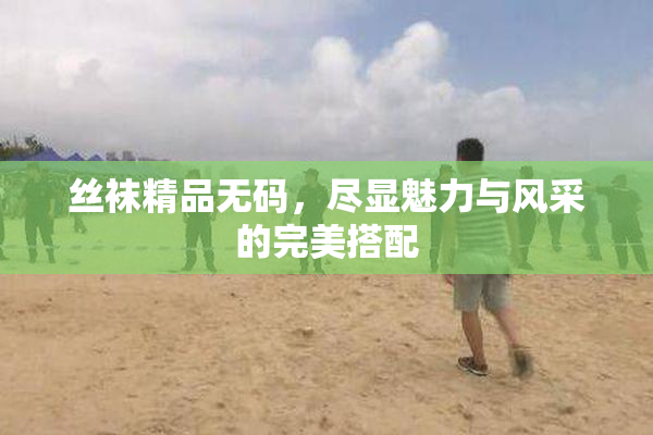 丝袜精品无码，尽显魅力与风采的完美搭配