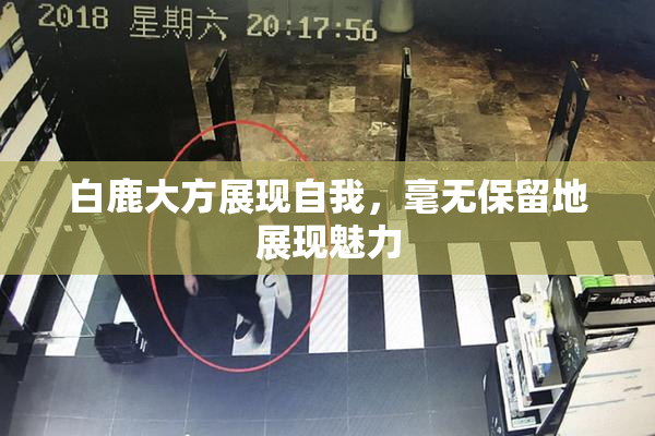白鹿大方展现自我，毫无保留地展现魅力