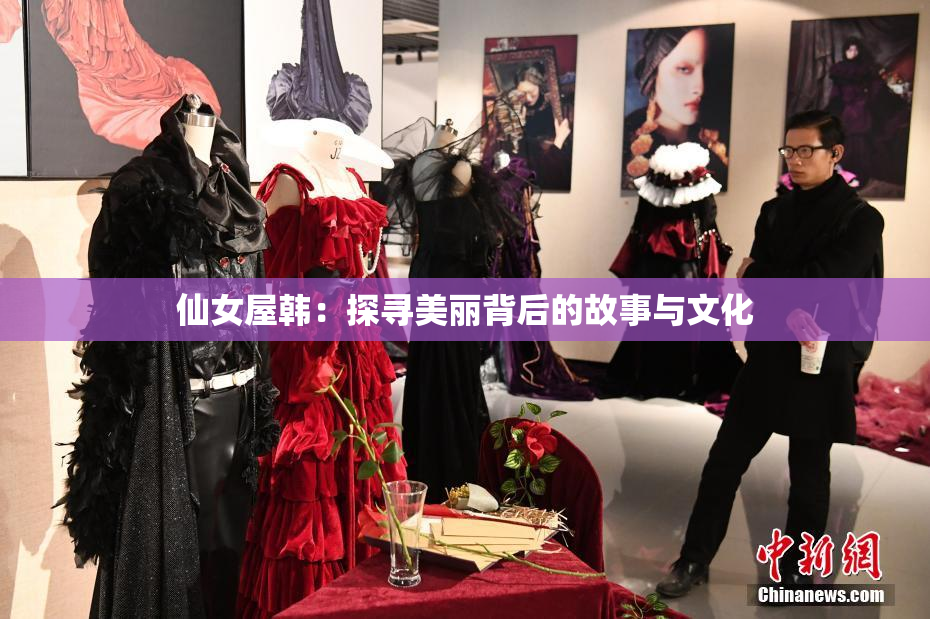 仙女屋韩：探寻美丽背后的故事与文化
