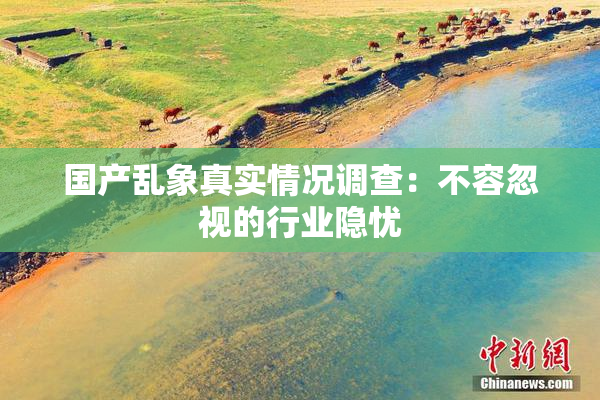 国产乱象真实情况调查：不容忽视的行业隐忧