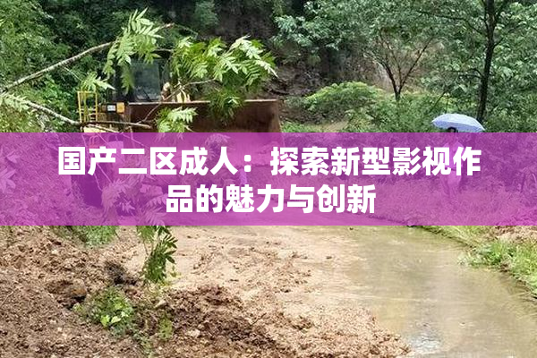 国产二区成人：探索新型影视作品的魅力与创新