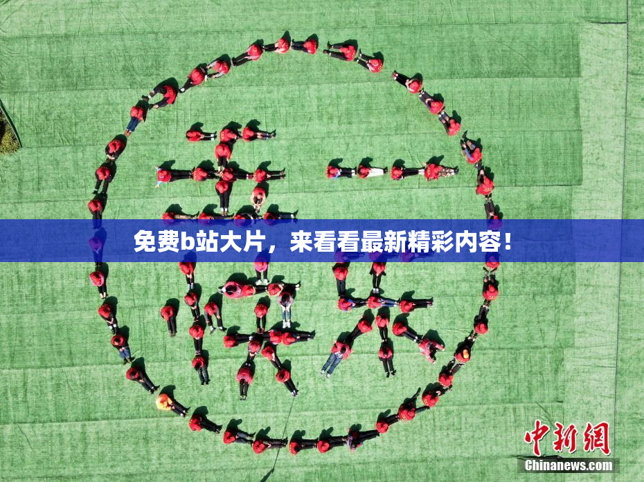 免费b站大片，来看看最新精彩内容！