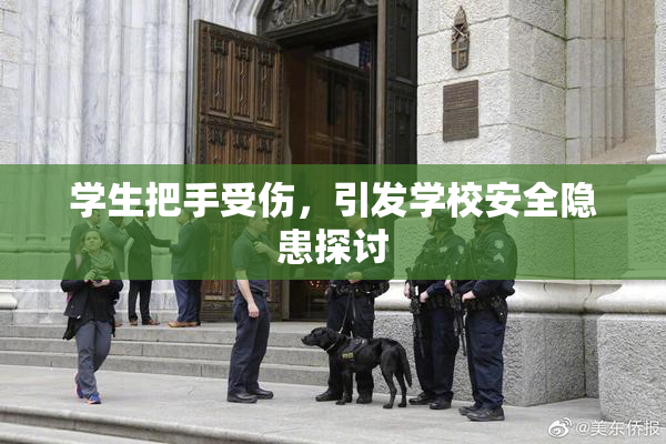 学生把手受伤，引发学校安全隐患探讨
