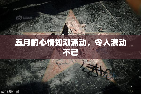五月的心情如潮涌动，令人激动不已