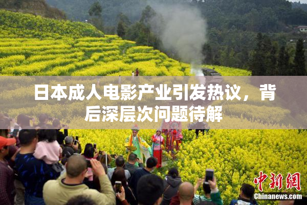 日本成人电影产业引发热议，背后深层次问题待解