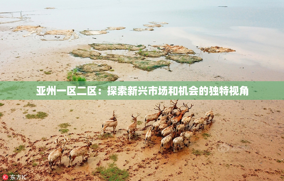 亚州一区二区：探索新兴市场和机会的独特视角