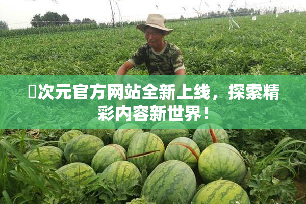 囧次元官方网站全新上线，探索精彩内容新世界！