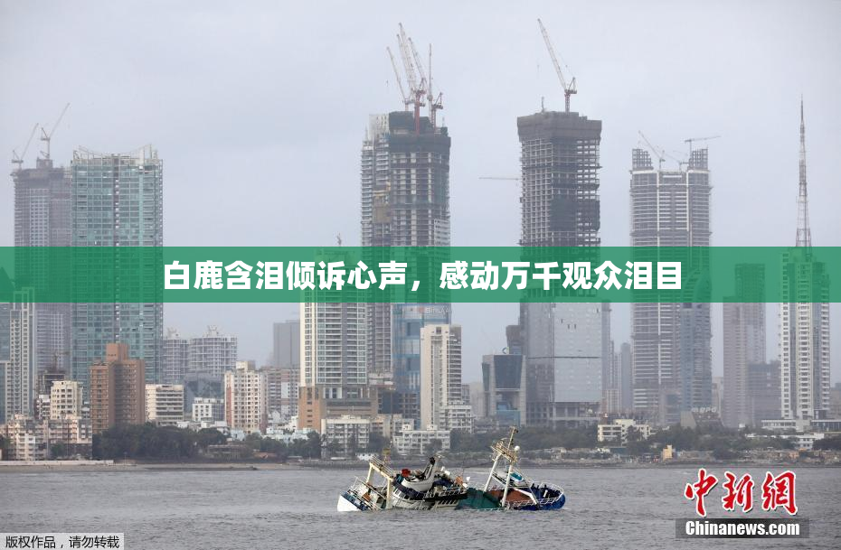 白鹿含泪倾诉心声，感动万千观众泪目