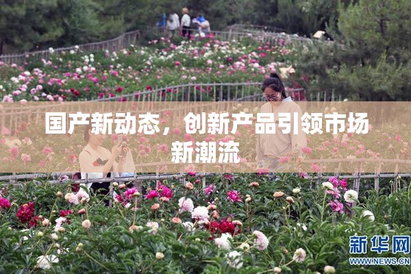 国产新动态，创新产品引领市场新潮流