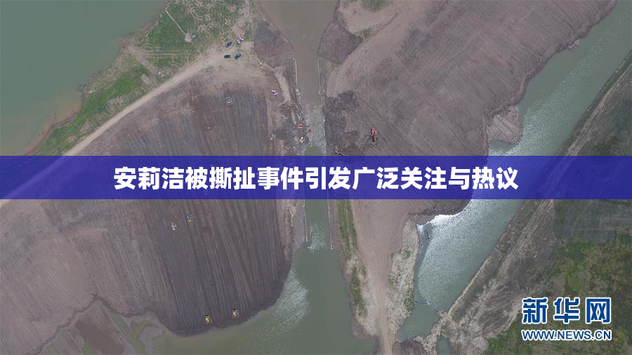 安莉洁被撕扯事件引发广泛关注与热议
