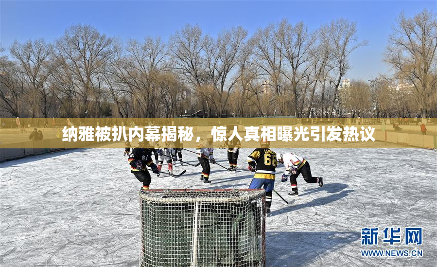 纳雅被扒内幕揭秘，惊人真相曝光引发热议
