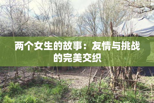 两个女生的故事：友情与挑战的完美交织