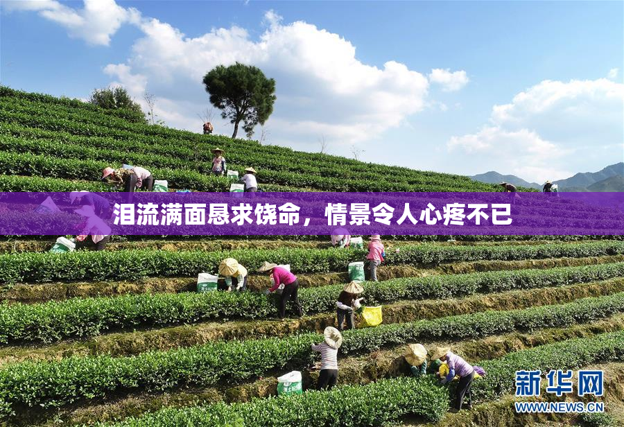 泪流满面恳求饶命，情景令人心疼不已