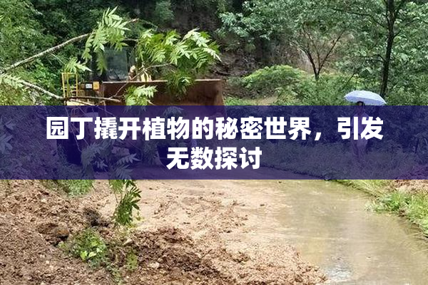 园丁撬开植物的秘密世界，引发无数探讨