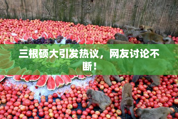 三根硕大引发热议，网友讨论不断！