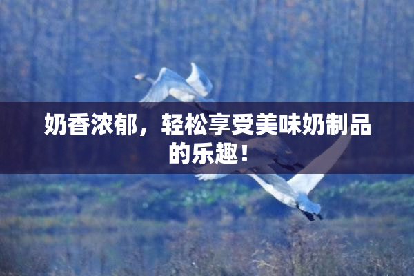 奶香浓郁，轻松享受美味奶制品的乐趣！