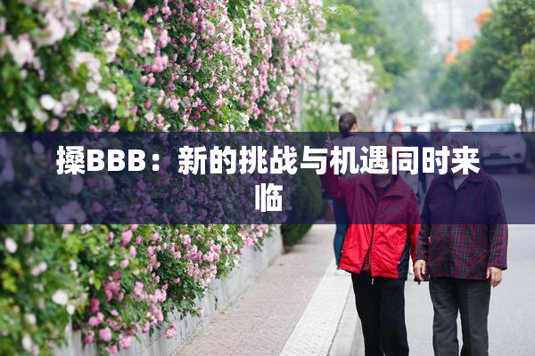 搡BBB：新的挑战与机遇同时来临
