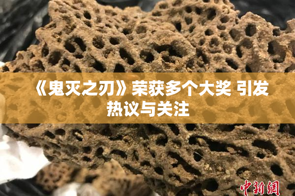 《鬼灭之刃》荣获多个大奖 引发热议与关注