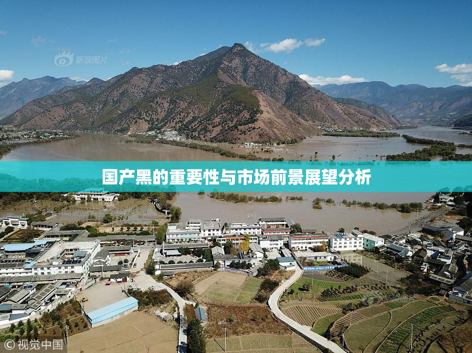 国产黑的重要性与市场前景展望分析