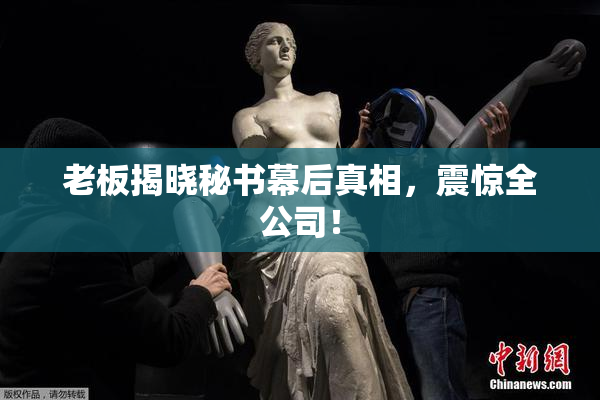 老板揭晓秘书幕后真相，震惊全公司！