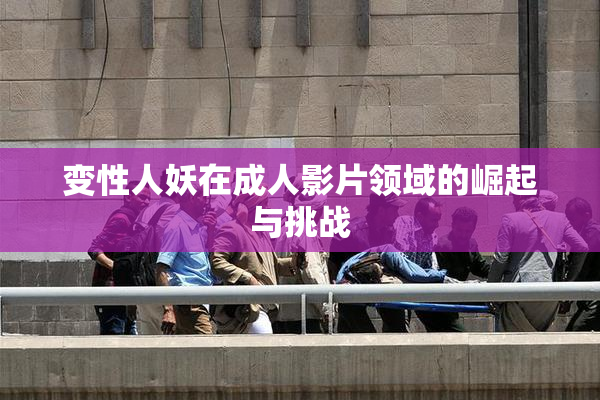 变性人妖在成人影片领域的崛起与挑战