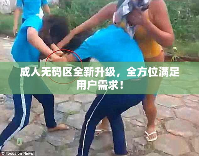 成人无码区全新升级，全方位满足用户需求！