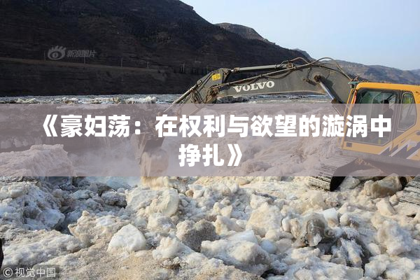 《豪妇荡：在权利与欲望的漩涡中挣扎》