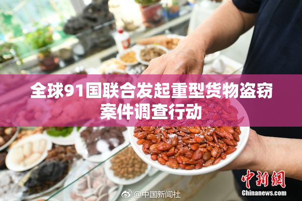 全球91国联合发起重型货物盗窃案件调查行动