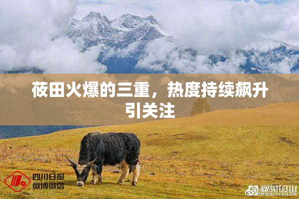 莜田火爆的三重，热度持续飙升引关注