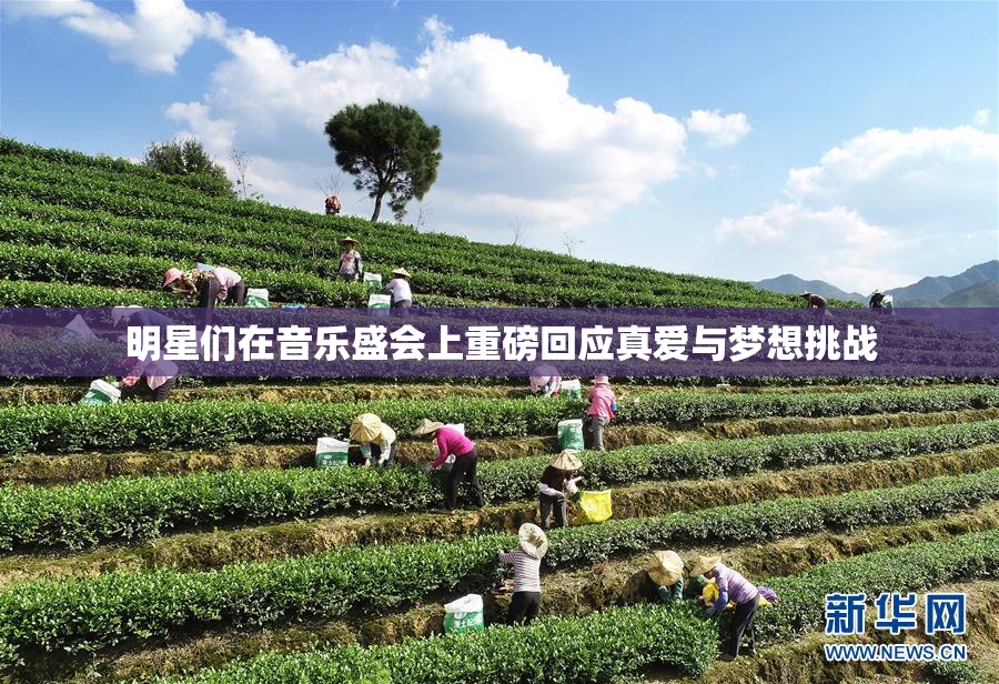 明星们在音乐盛会上重磅回应真爱与梦想挑战