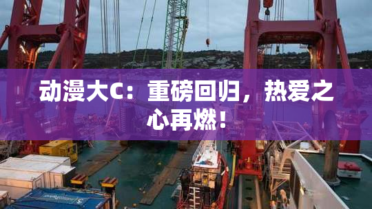 动漫大C：重磅回归，热爱之心再燃！