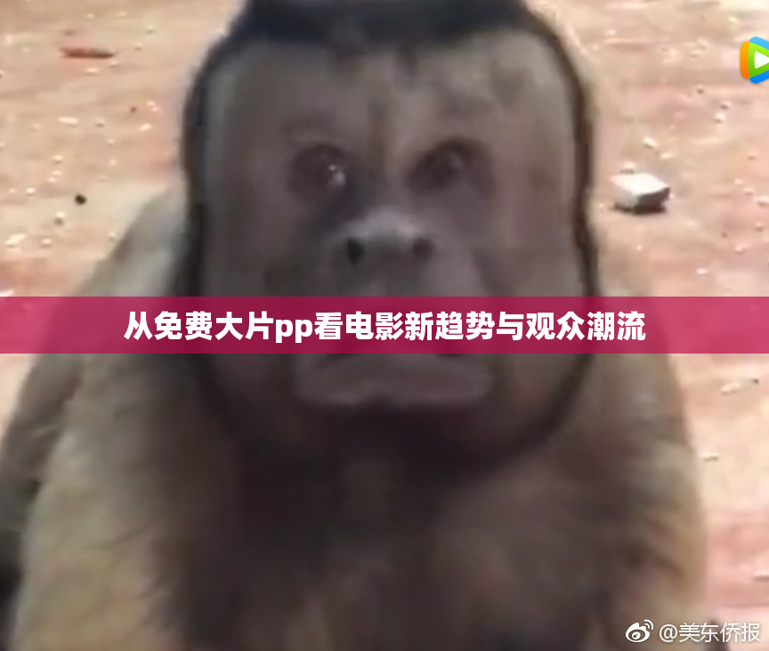 从免费大片pp看电影新趋势与观众潮流