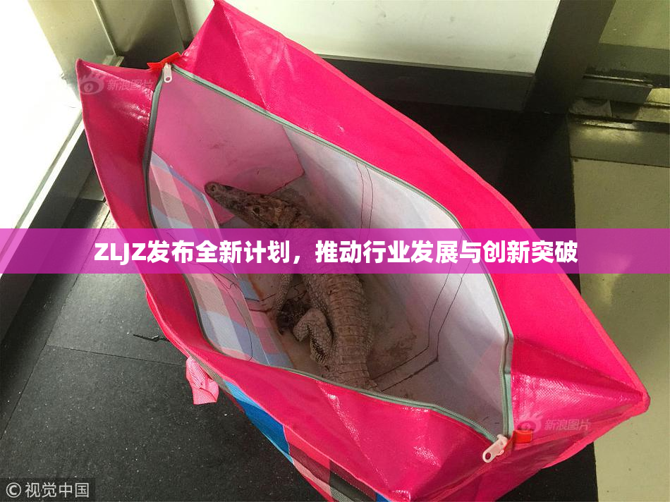 ZLJZ发布全新计划，推动行业发展与创新突破