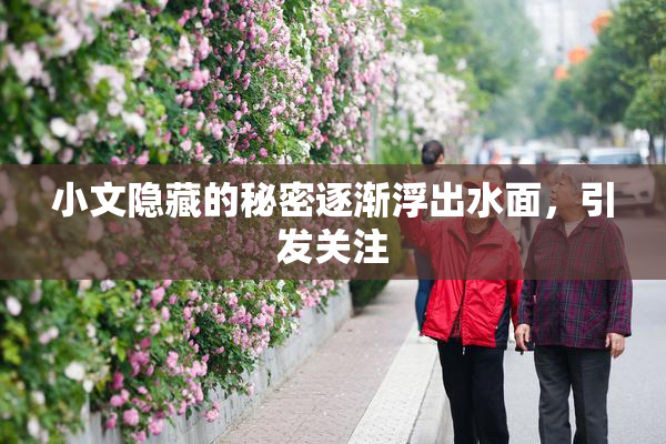 小文隐藏的秘密逐渐浮出水面，引发关注