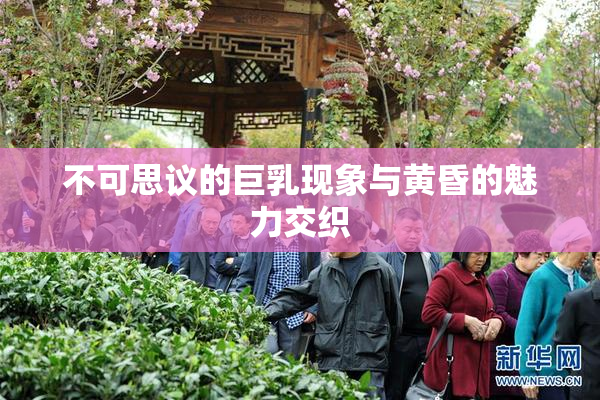 不可思议的巨乳现象与黄昏的魅力交织