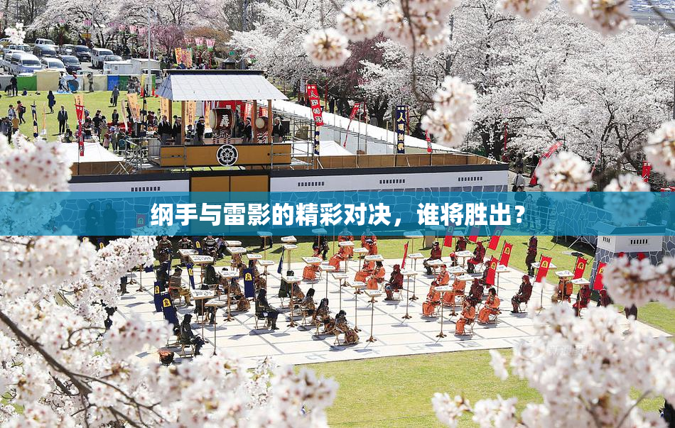纲手与雷影的精彩对决，谁将胜出？
