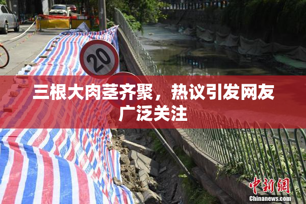 三根大肉茎齐聚，热议引发网友广泛关注