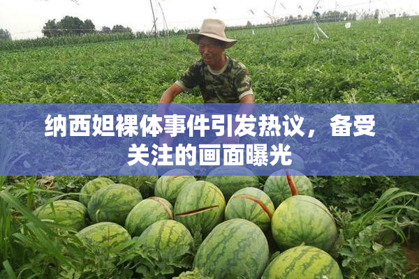 纳西妲裸体事件引发热议，备受关注的画面曝光